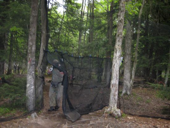 paintball