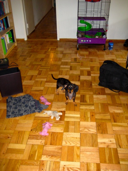 stuytown apt