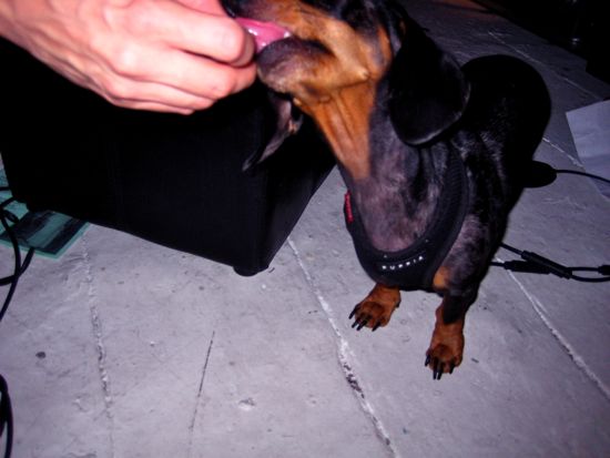 tongue