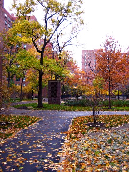 stuytown