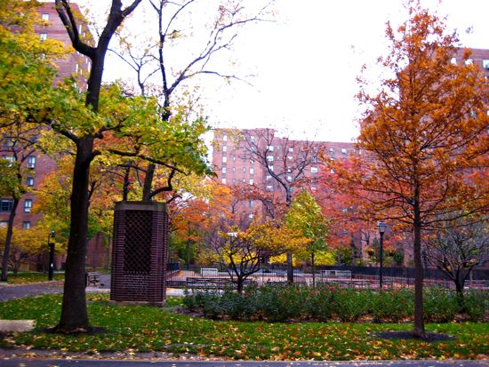 stuytown
