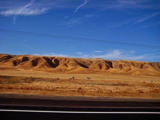 driving