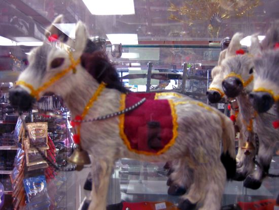 donkey