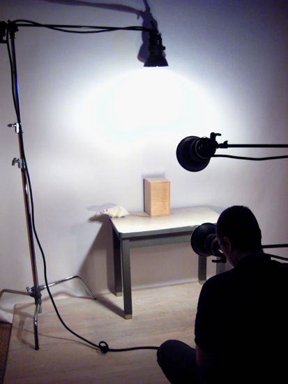 camera