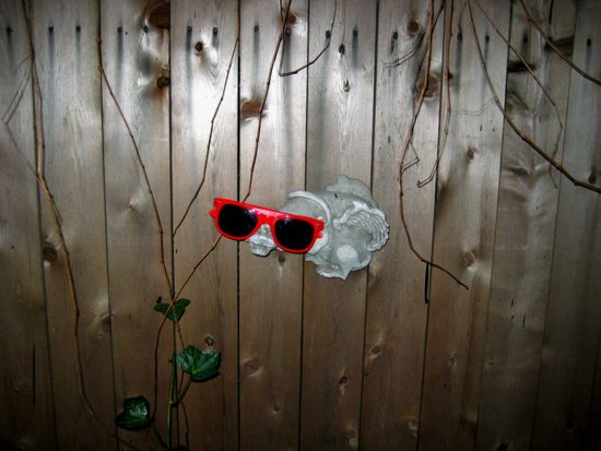 fence
