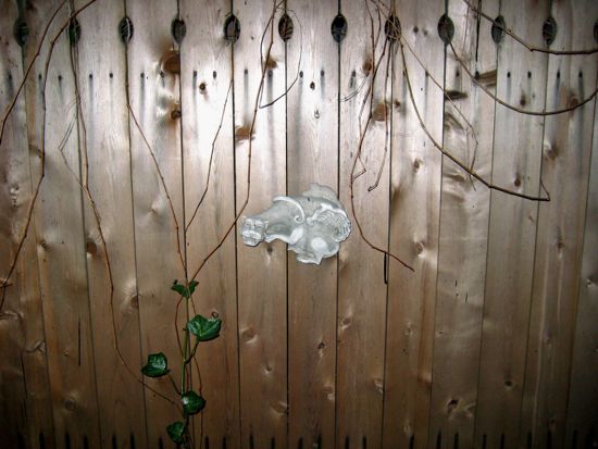 fence