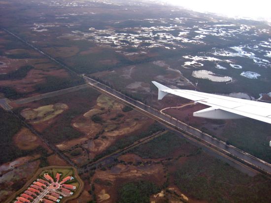 wing