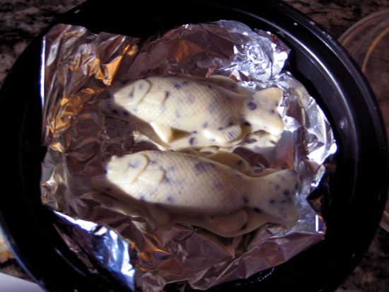 fish