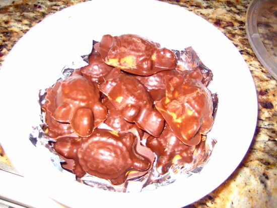 turtle