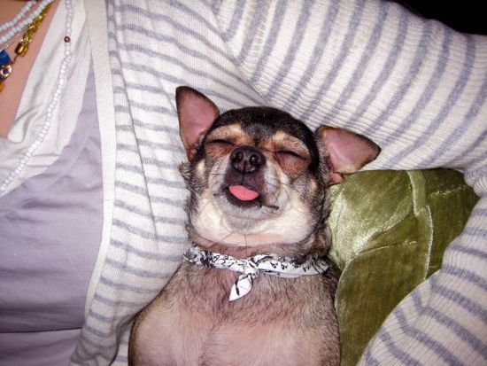 tongue