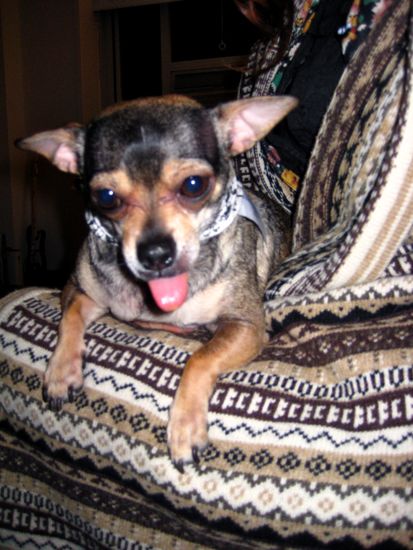 tongue