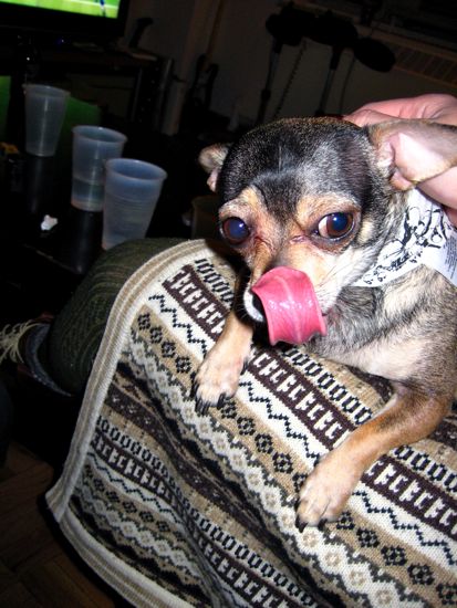 tongue