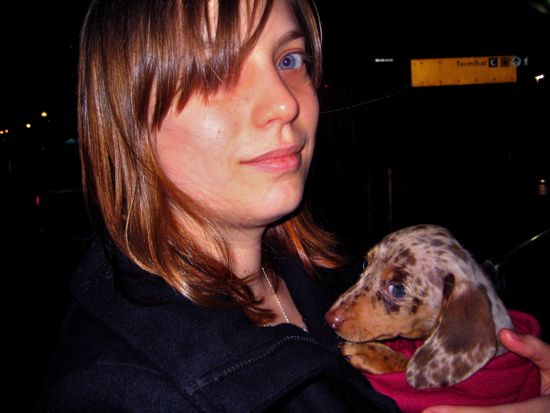 puppy