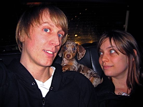 puppy