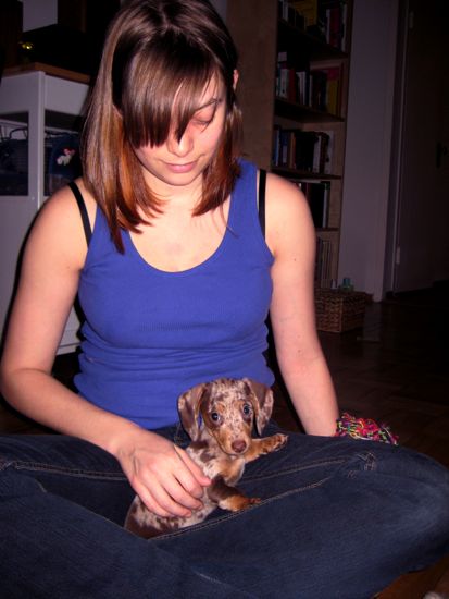 puppy