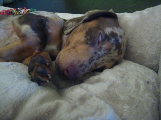 asleep