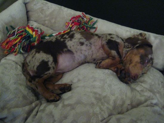 asleep