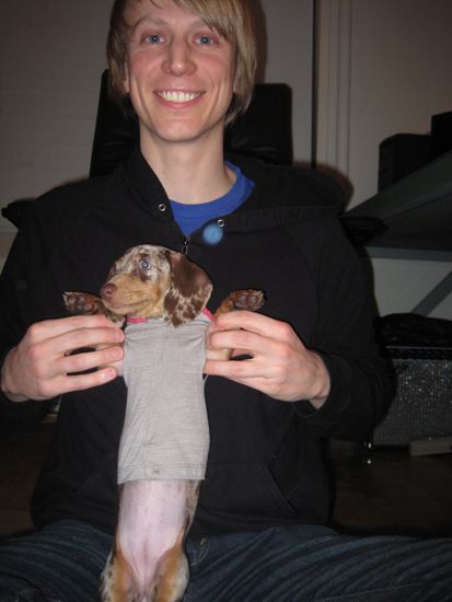 puppy