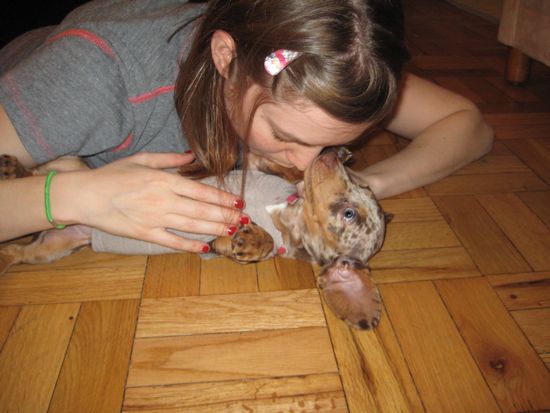 puppy