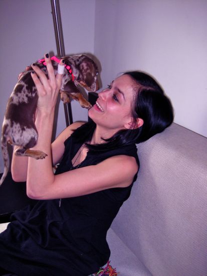 puppy