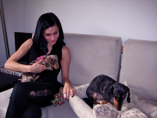 puppy