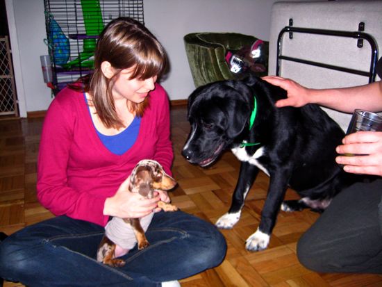 maddy, meredith