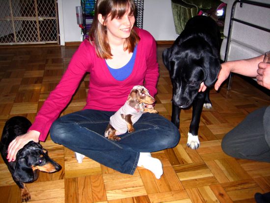 maddy, meredith