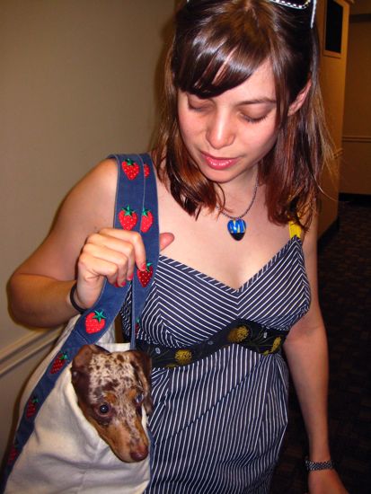 dog in a bag