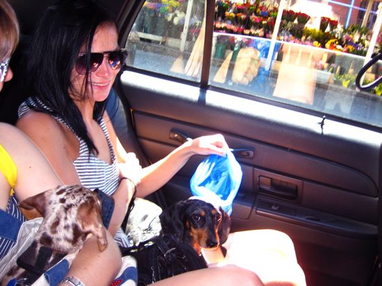 edie + leigh