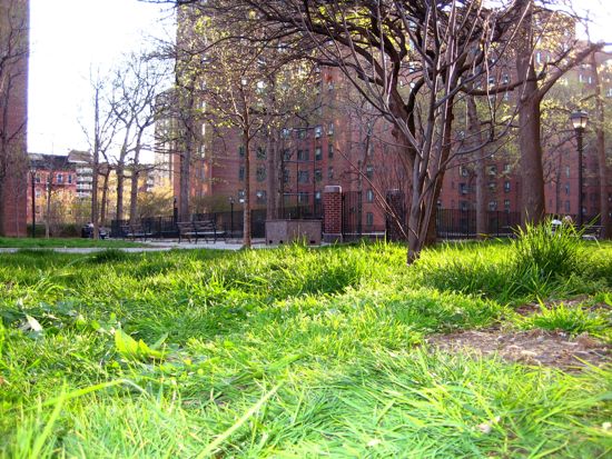 stuytown