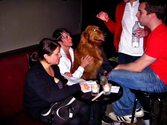 dogs