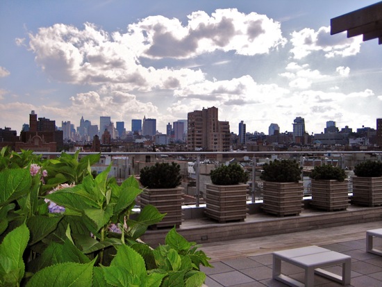 roof