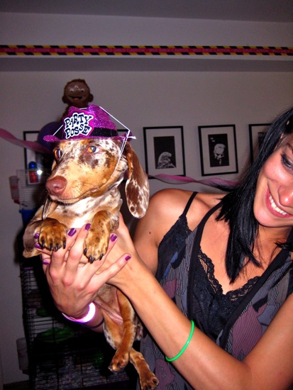 dogs in outfits