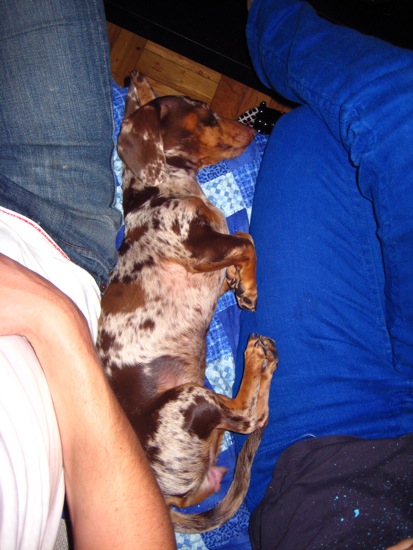 asleep