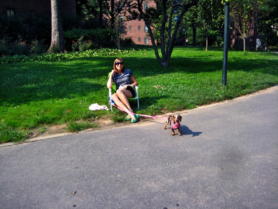 stuytown