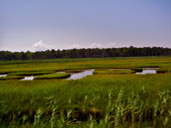 nj
