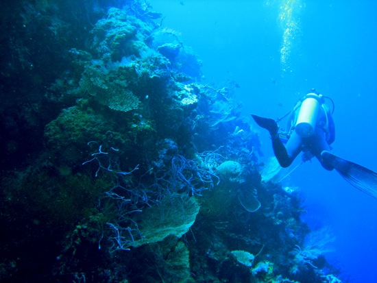 scuba