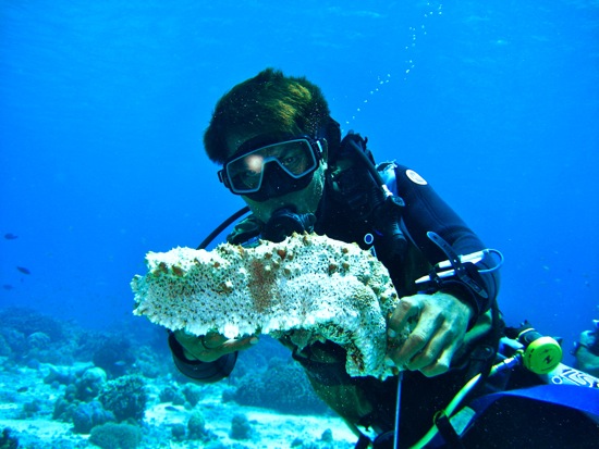 scuba