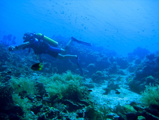 scuba