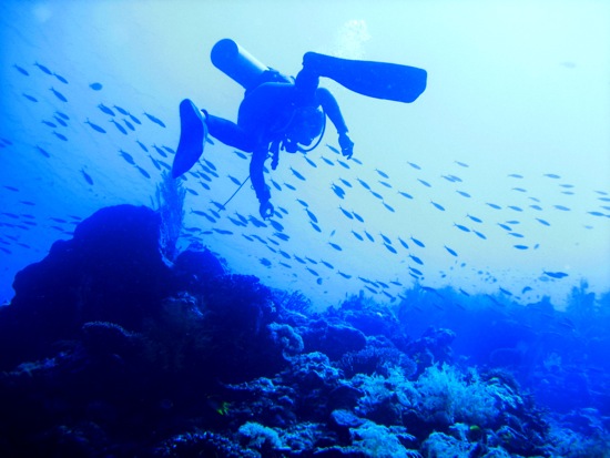 scuba