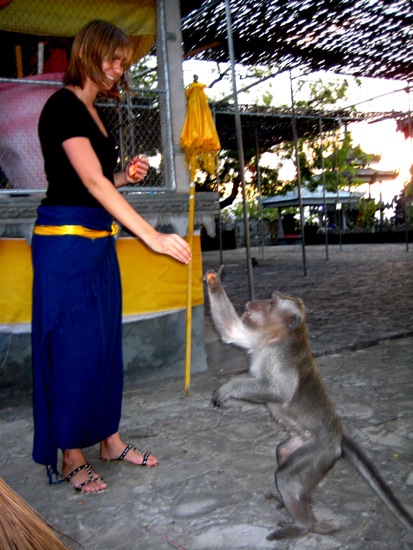 monkey
