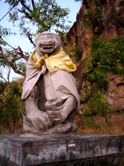 monkey