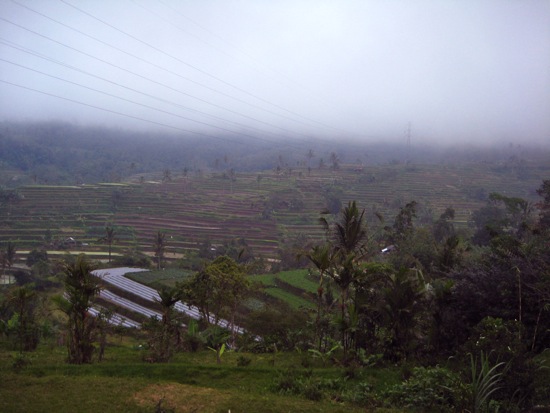 scenic overlook