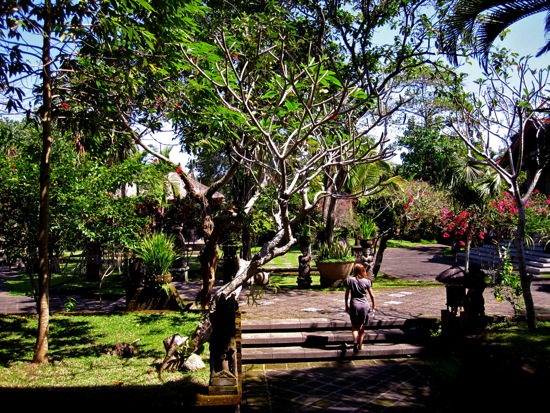 trees