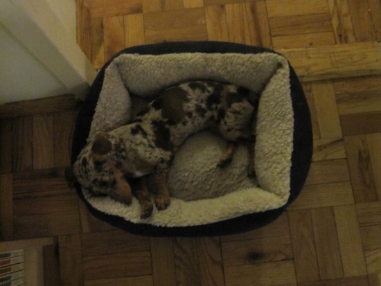 asleep