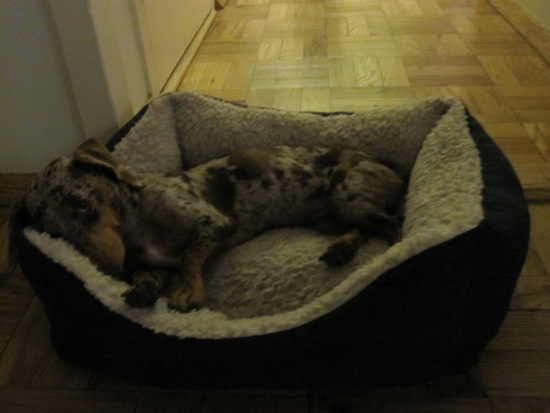asleep