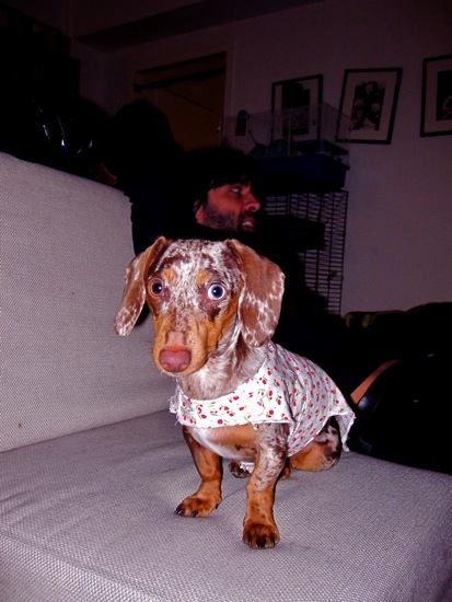 maddy