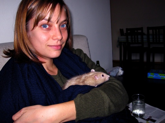 rats