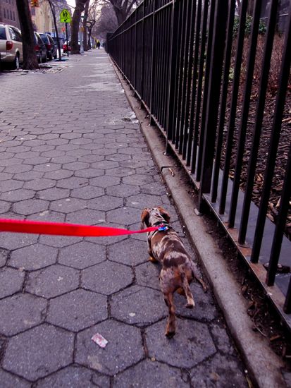 maddy + walking