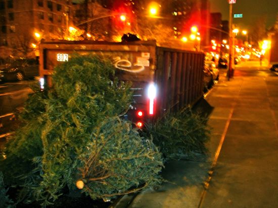 xmas tree
